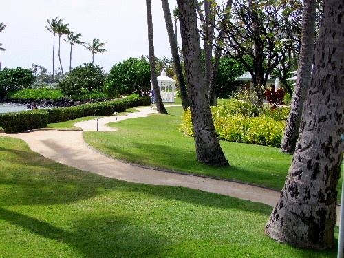 a0000029_0371159.jpg