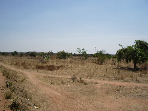 e0146031_13401699.jpg
