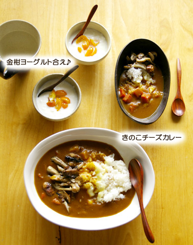 <レトルトカレーにトッピング♪＞_b0099332_1840950.jpg