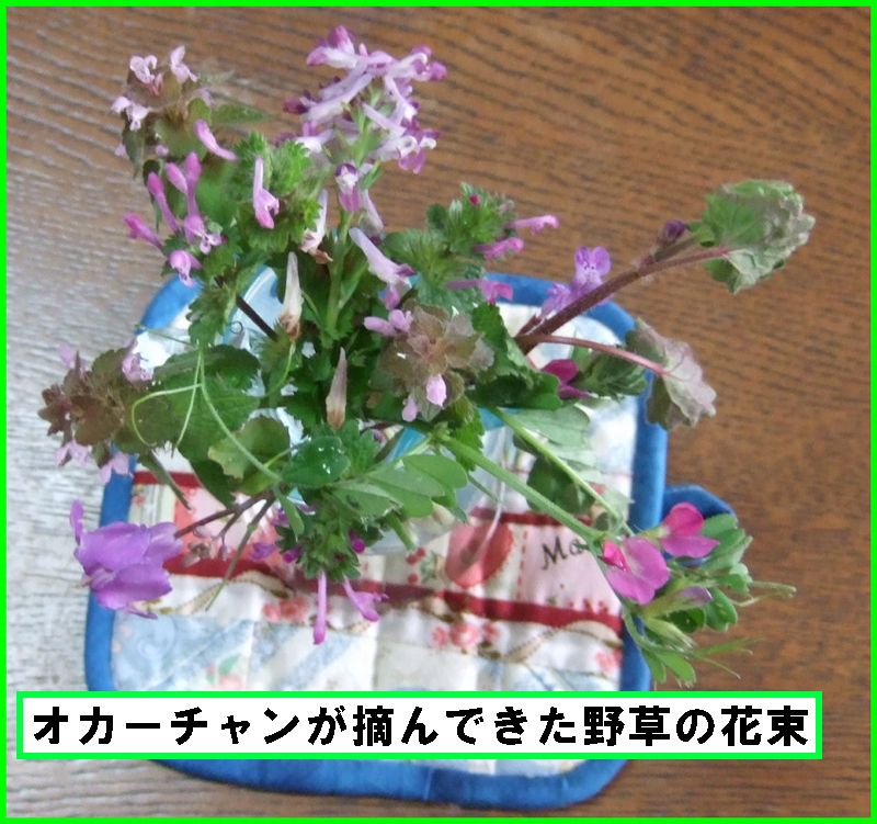 c0004734_211645.jpg