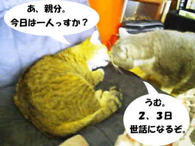 f0008935_1301478.gif