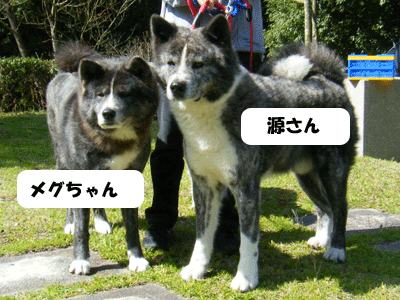 f0008935_1351820.gif