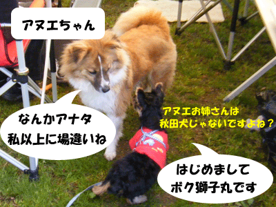 f0008935_1352655.gif