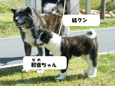 f0008935_135846.gif