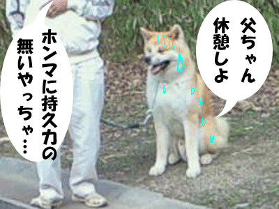 f0008935_1362258.gif