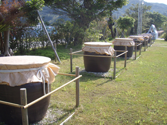 かめ仕込み_e0041337_013136.jpg