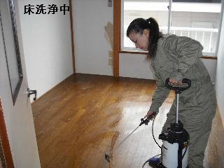 ハウスクリーニングと諸々の作業_f0031037_21315946.jpg