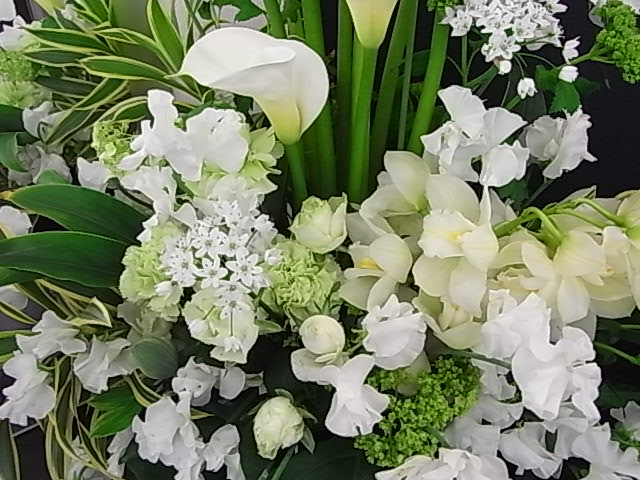 b0145846_22232060.jpg