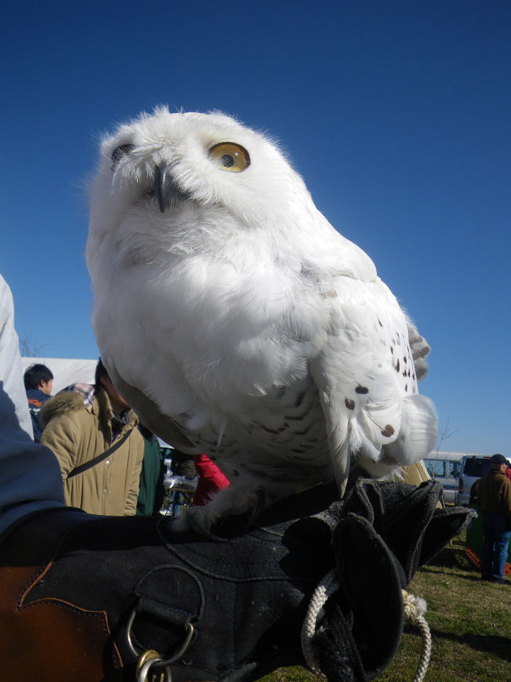 c0132048_8442057.jpg
