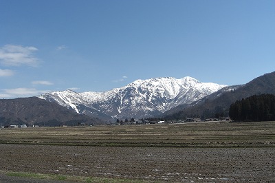 八海山の春_a0084753_13365591.jpg