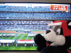 b0159557_1634041.gif