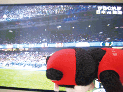 b0159557_16435667.gif