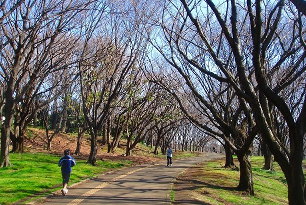 ＜2009年３月１５日＞快晴・横浜！日本競馬発祥地＆スカイウォーク・パノラマ_c0119160_9451730.jpg