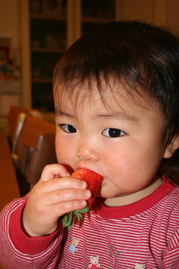 a0118270_1803365.jpg
