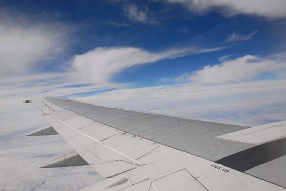 b0105374_93531.jpg