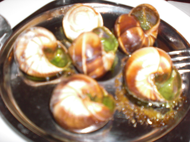 b0157276_1147399.jpg