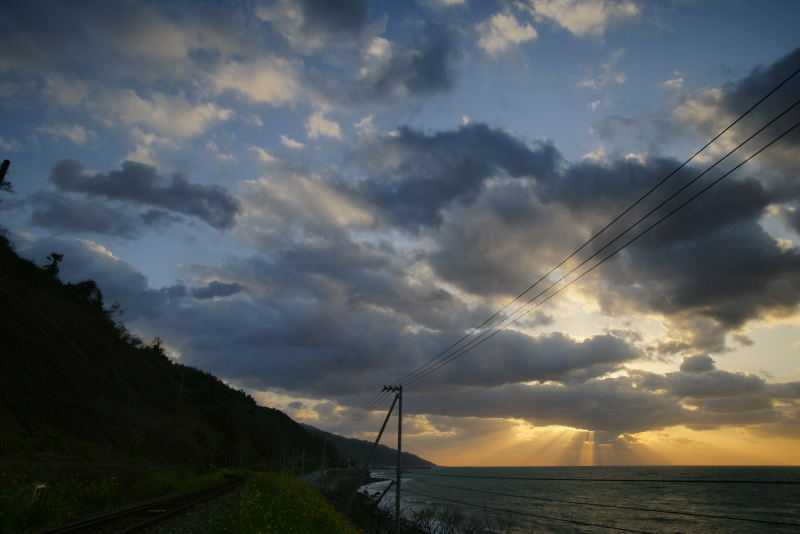 列車と夕景と菜の花と_e0152576_20495458.jpg