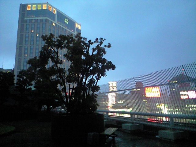 b0006289_1846511.jpg