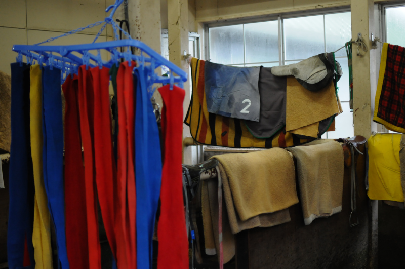 雨の日は洗濯物だらけ 岩手競馬それからの写真集