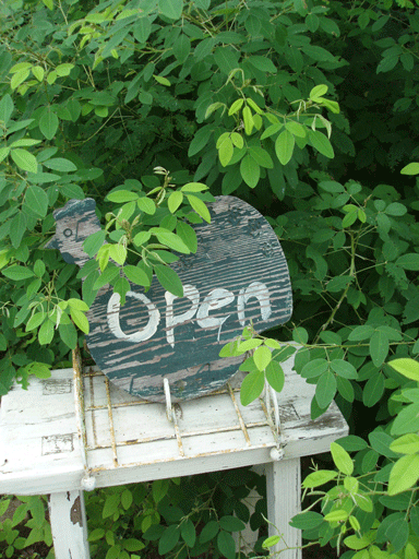 c0129702_0475381.gif
