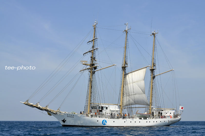 c0187803_8193464.jpg
