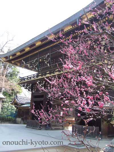 憧れの京都観光♪_f0184004_0133588.jpg