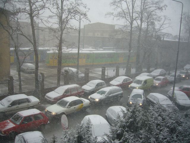 e0039206_233357.jpg