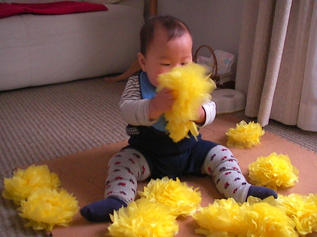 f0038407_1037333.jpg