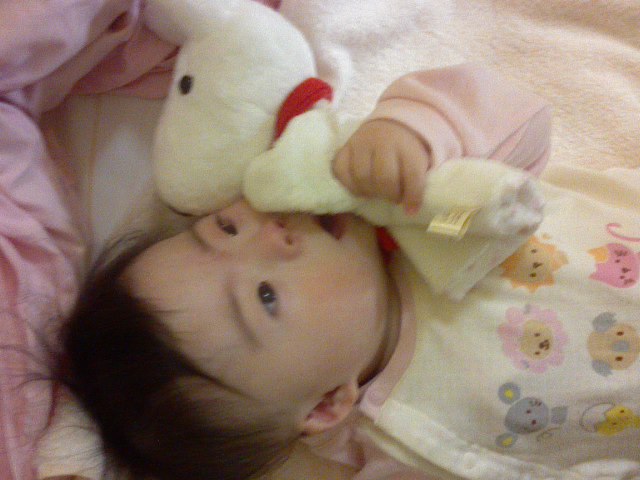 なっちゃん元気です_c0182012_21453267.jpg