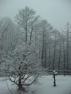 b0159914_11343313.jpg