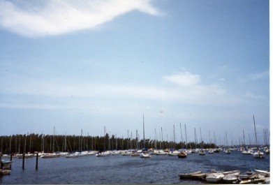 a0116217_20104940.jpg
