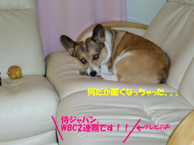 f0182121_1637677.jpg