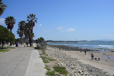 b0088124_115211.jpg