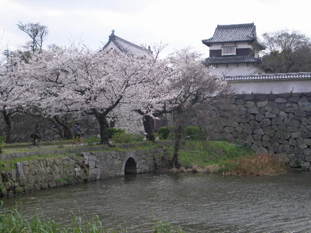 c0095424_16165280.jpg