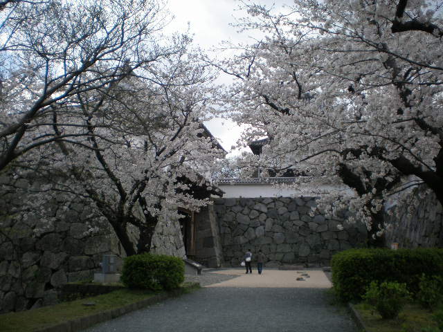 c0095424_1736563.jpg