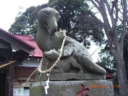 星影神社の狛犬_d0065324_1022488.jpg