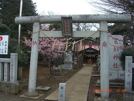 星影神社の狛犬 雨漏り書斎