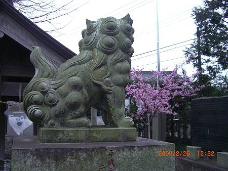 星影神社の狛犬_d0065324_9485161.jpg