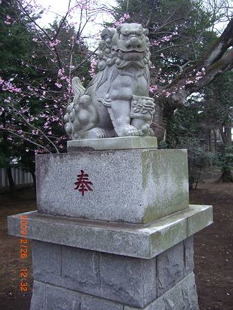 星影神社の狛犬_d0065324_9492026.jpg