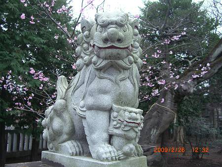 星影神社の狛犬_d0065324_9493942.jpg