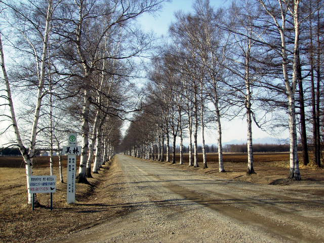f0165224_2248321.jpg
