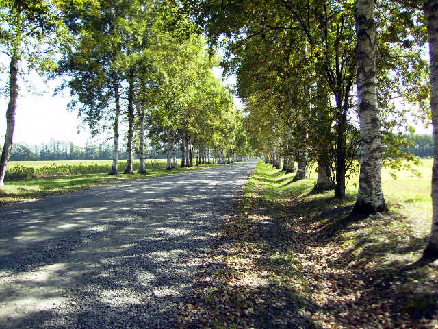f0165224_22534529.jpg