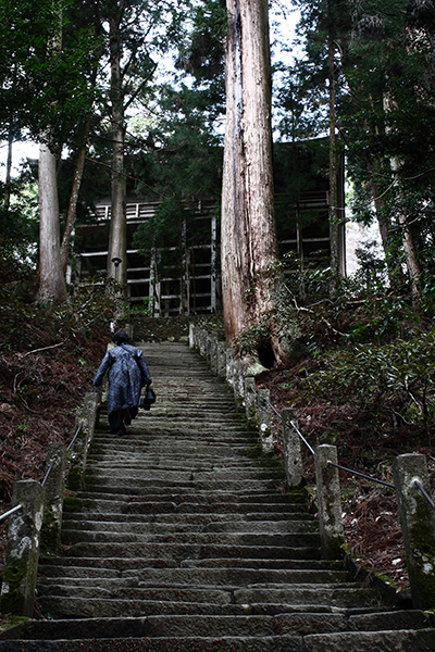 室生寺_e0001534_21532499.jpg