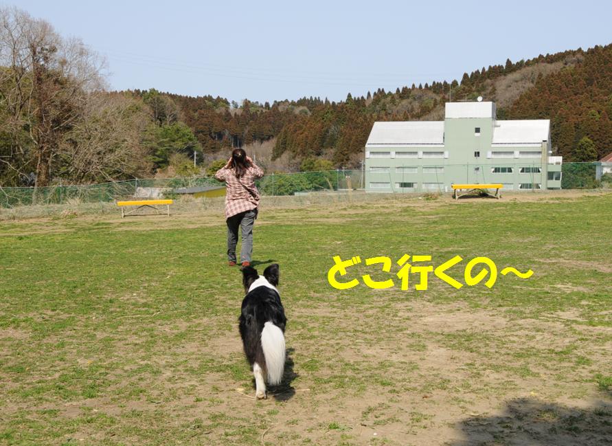 c0147241_23323214.jpg