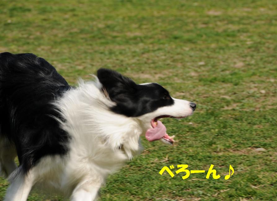 c0147241_23325512.jpg