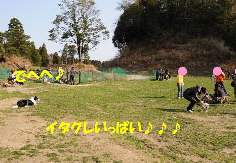 c0147241_23333495.jpg
