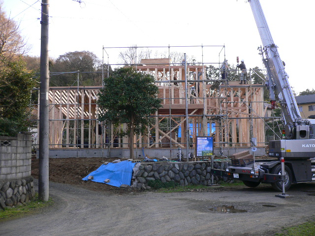 f0070542_7344626.jpg