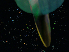e0005548_23154361.gif