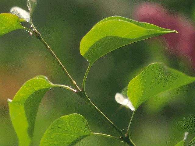 f0184849_1082912.jpg