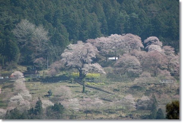 ひょうたん桜公園_d0033551_23341310.jpg